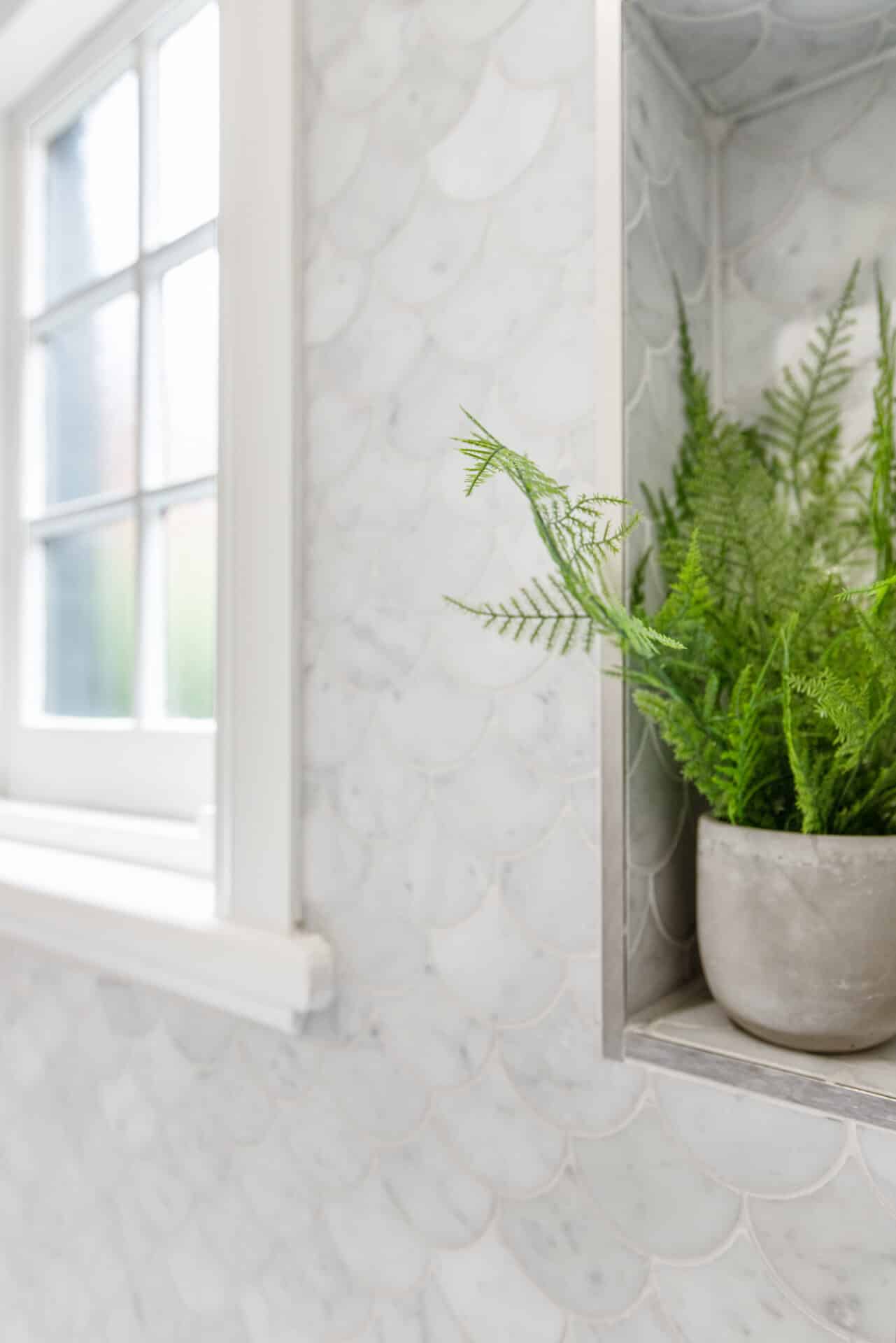 a window with a shelf and a plant