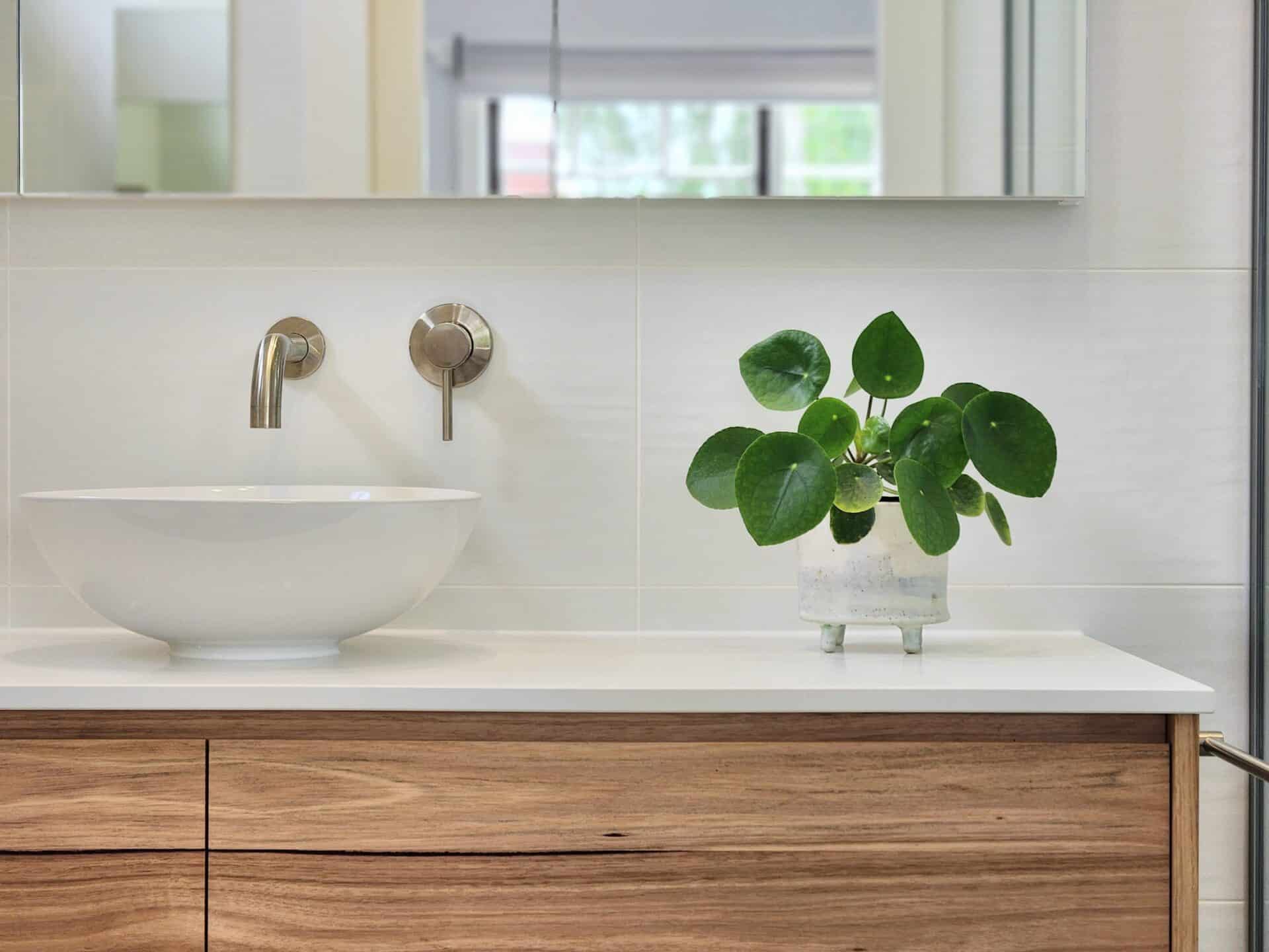 A bathroom sink and a plant on a counter.